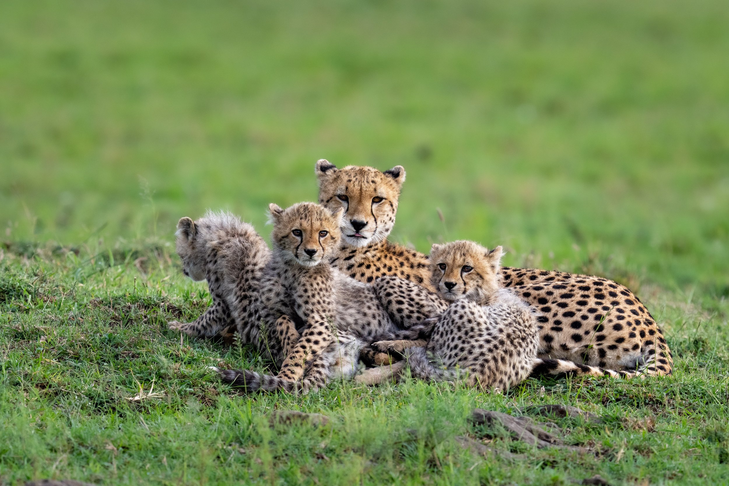 032_A1_01487-Bearbeitet.jpg
