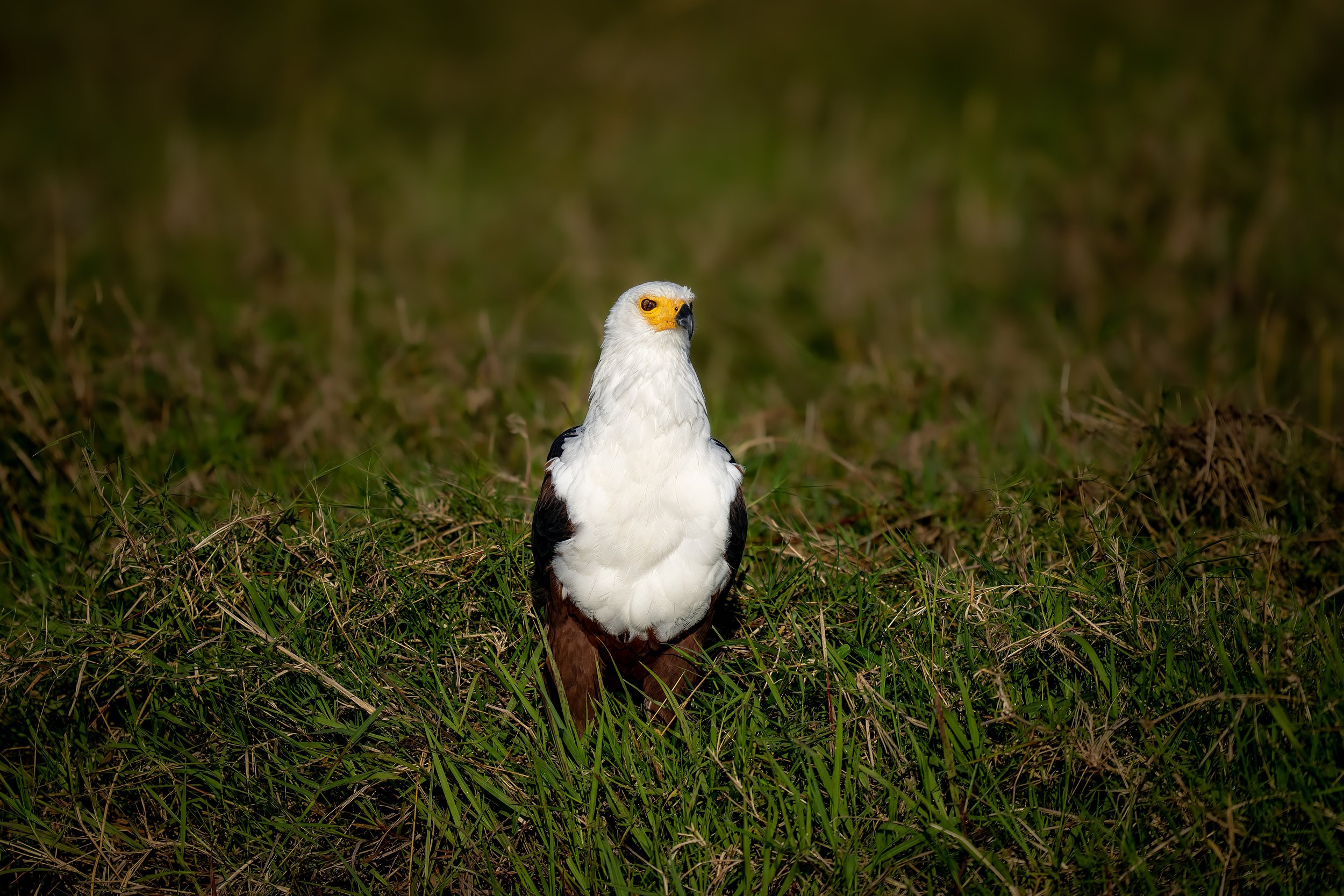 035_A1_09180-Bearbeitet.jpg