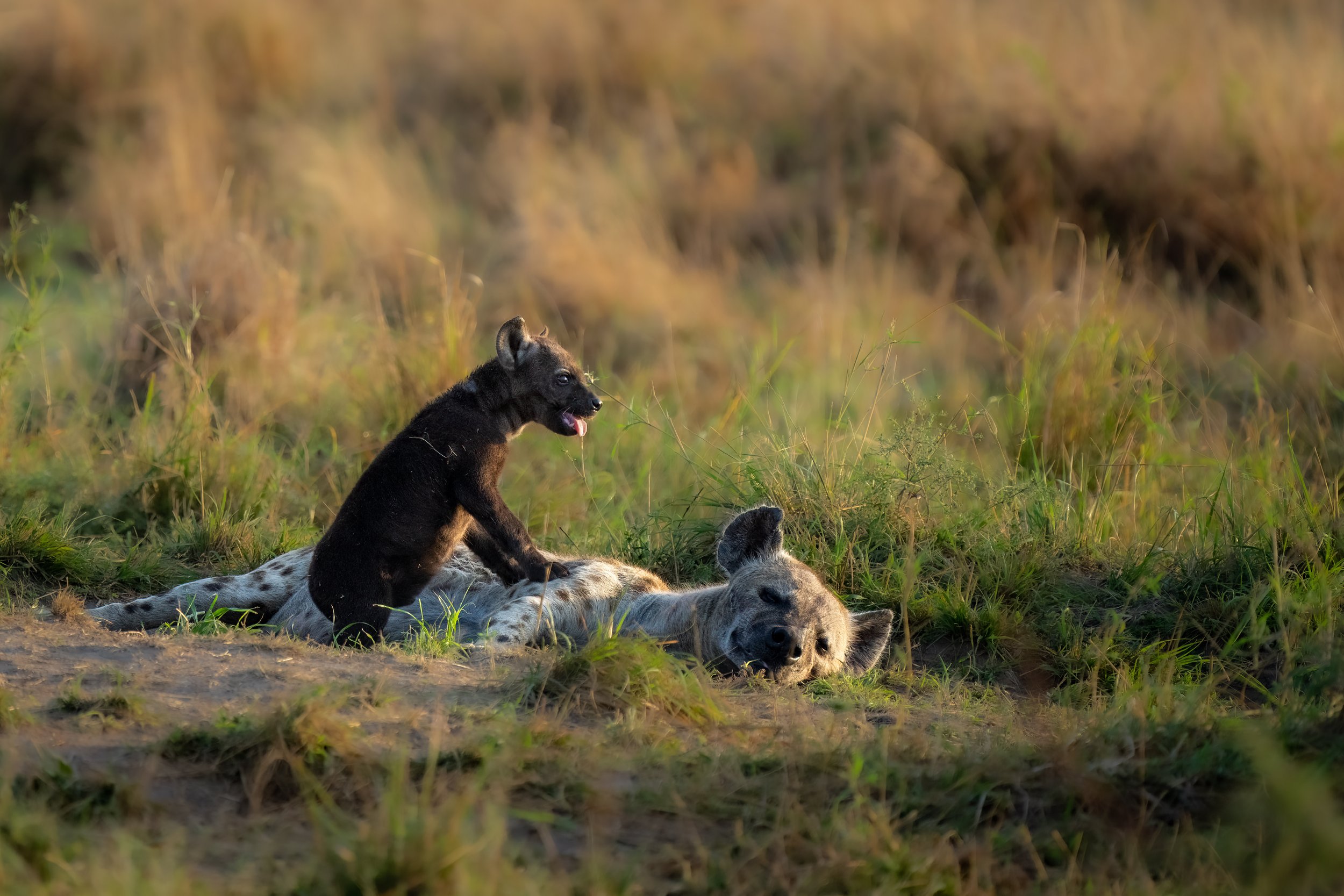 168_A1_09849-Bearbeitet.jpg
